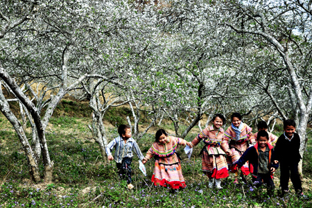 Lao Cai province’s beauty all year round